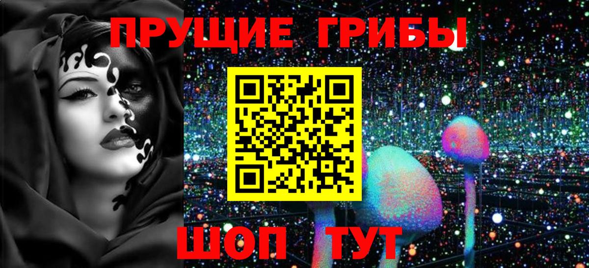 Галлюциногенные грибы мицелий  Вход с VPN  Железноводск 